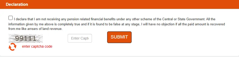 Check 'Declaration', confirm info, enter captcha, and submit