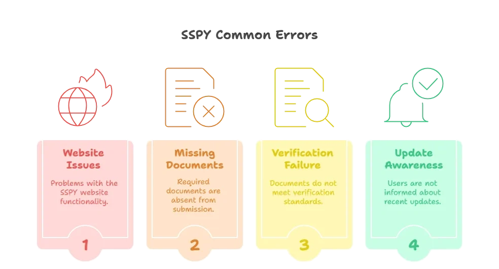 SSPY Common Errors And Solutions infographic